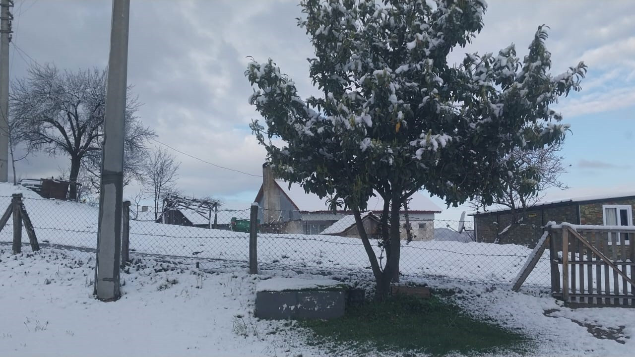 Sakarya'nın yüksek kesimlerinde kar: Yaylalar beyaza büründü