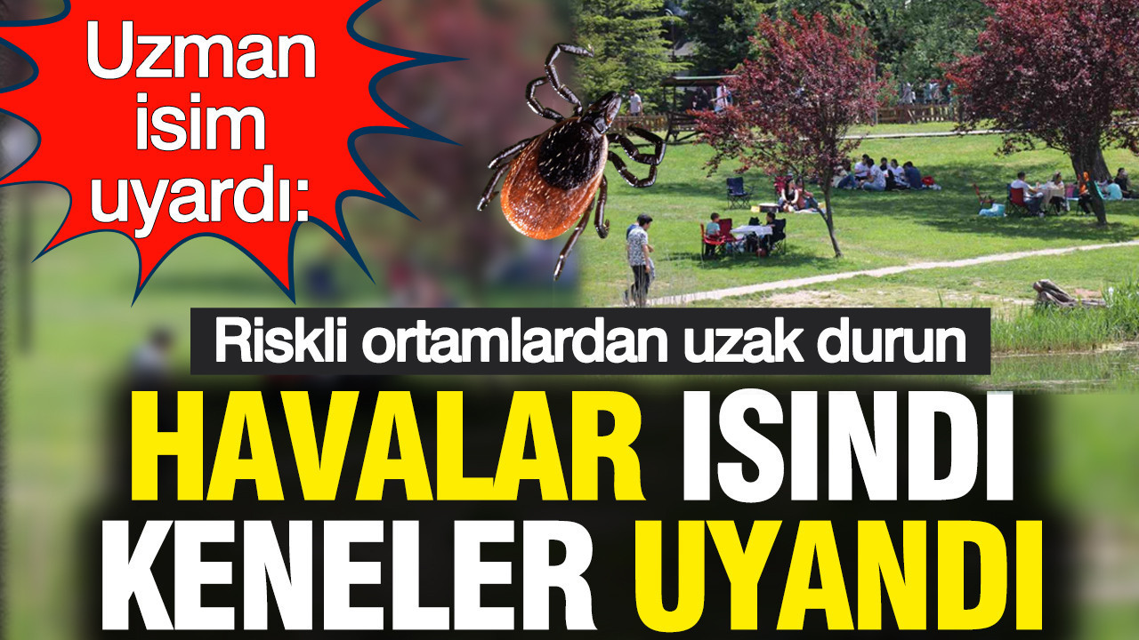Uzman isimden uyarı: Havalar ısındı, keneler uyandı