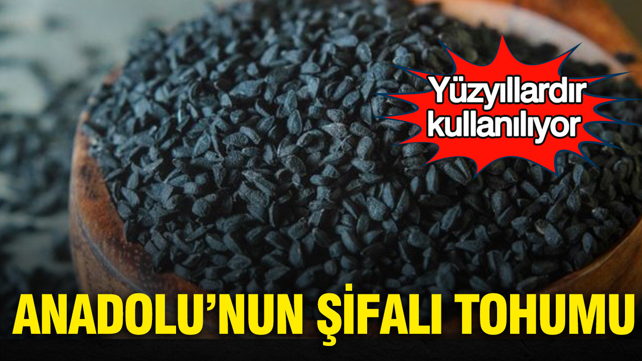 Yüzyıllardır kullanılıyor: Anadolu’nun şifalı tohumu