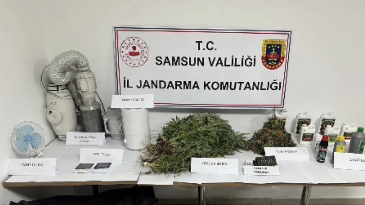Evini uyuşturucu tarlasına çevirmek isteyen şahısa operasyon! Evinden çıkmadık kalmadı
