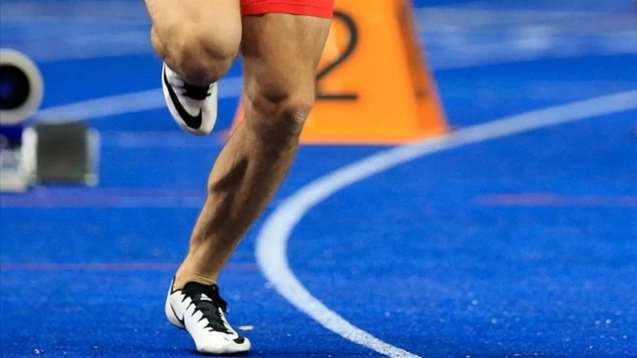 Milli atletler, Brezilya'daki Dünya Takımlar Yürüyüş Şampiyonası'na katılacak