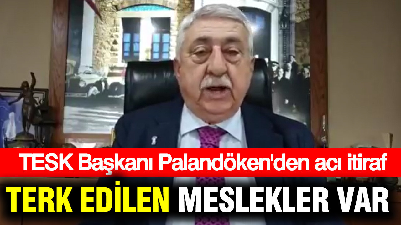 TESK Başkanı Palandöken'den acı itiraf: Terk edilen meslekler var