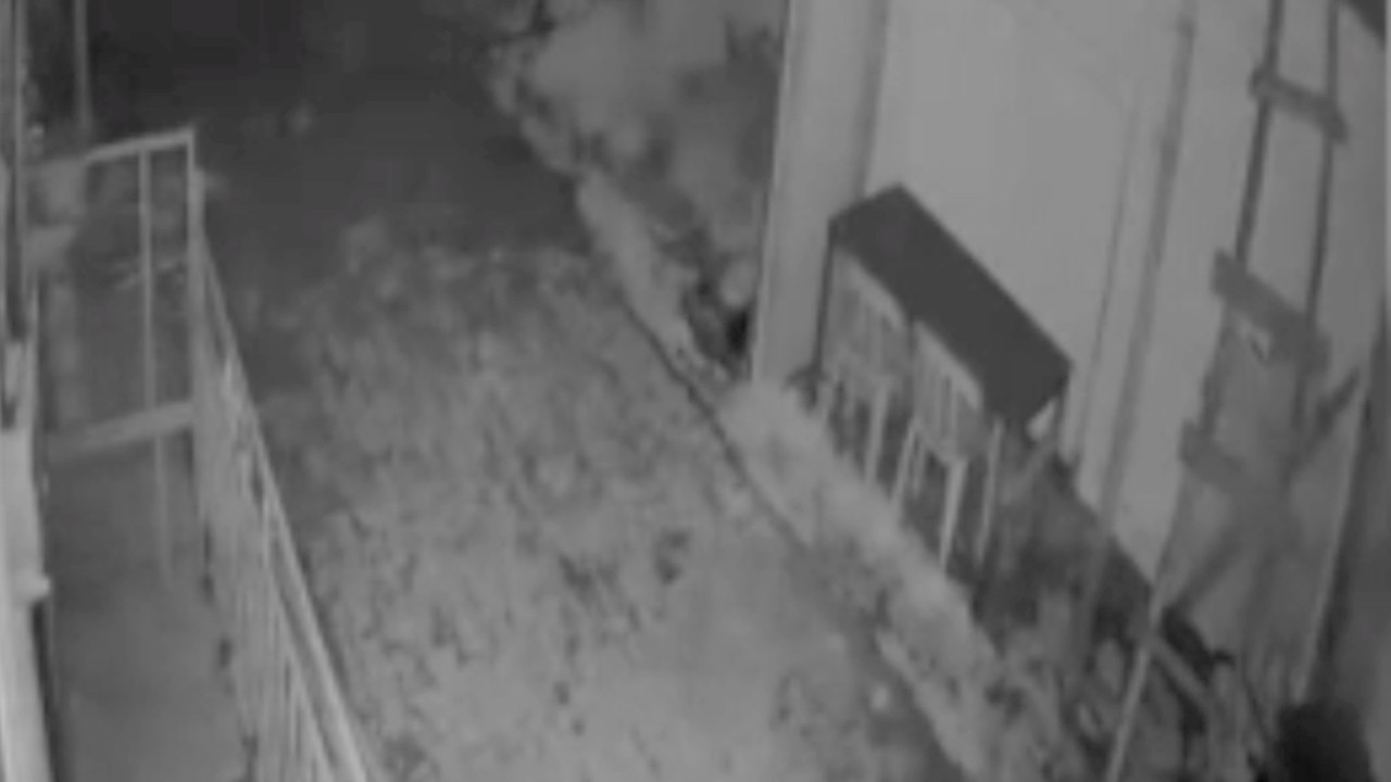 Aç kalan kurt indiği köyde görüntülendi