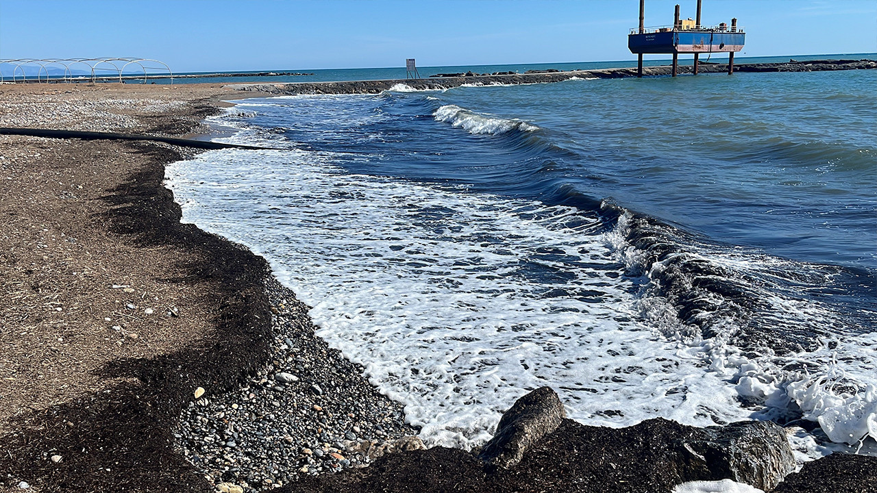 Alanya’da sahildeki görüntü tedirgin etti