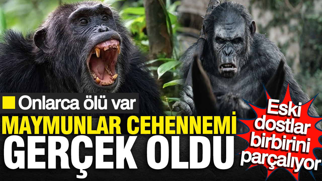 Maymunlar Cehennemi gerçek oldu: Uganda’da eski dostlar birbirini parçalıyor… Onlarca ölü var