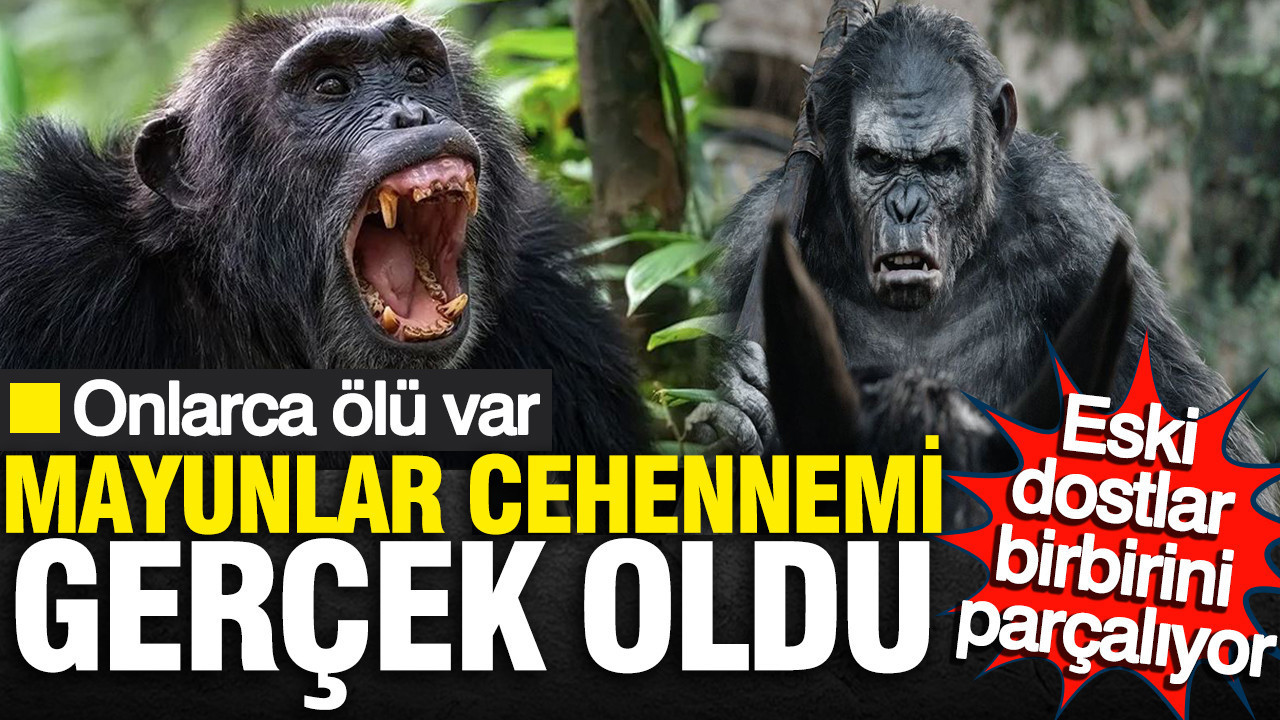 Maymunlar Cehennemi gerçek oldu: Uganda’da eski dostlar birbirini parçalıyor… Onlarca ölü var