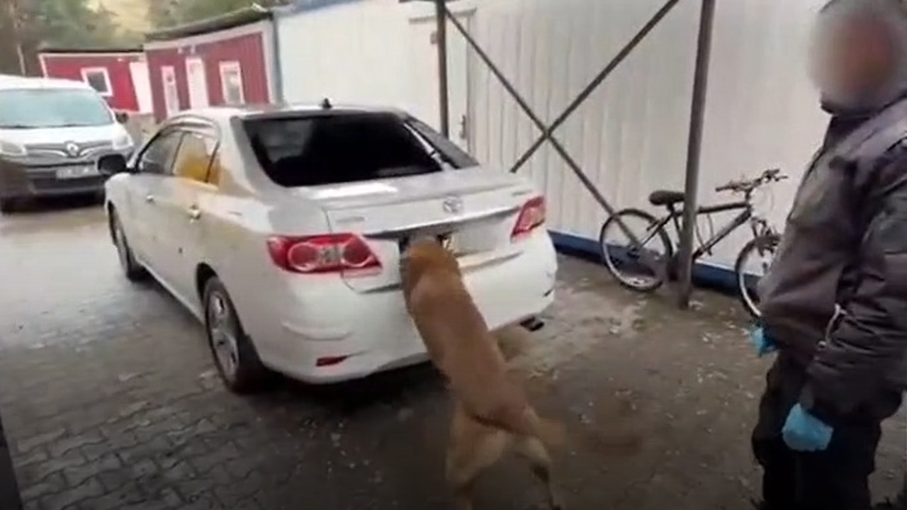 Araçtaki uyuşturucu zulaları bir bir patlatıldı: Hassas burun tepki verdi