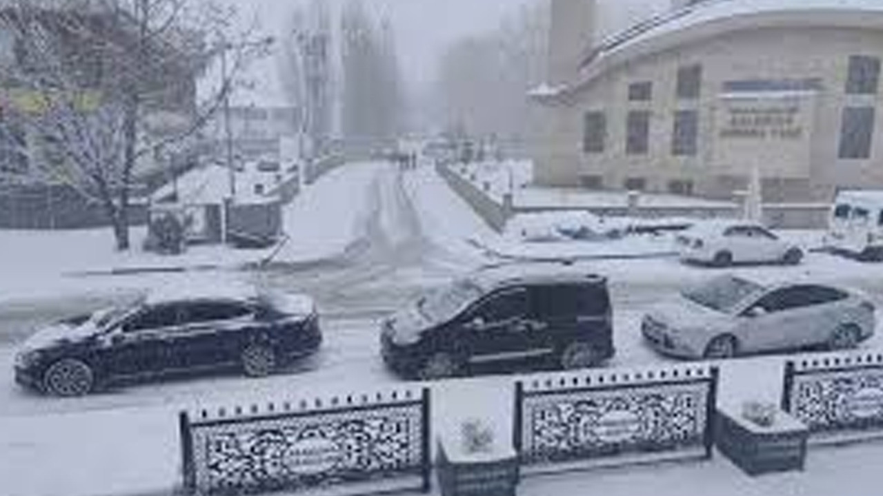 Baharı beklenirken kış geri geldi