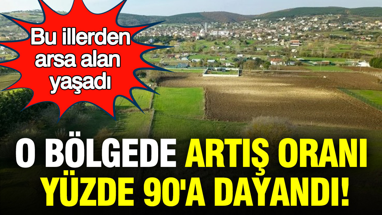 Bu illerden arsa alan yaşadı: Bir bölgede artış oranı yüzde 90'a dayandı; İşte il il değerini katlayan arsalar