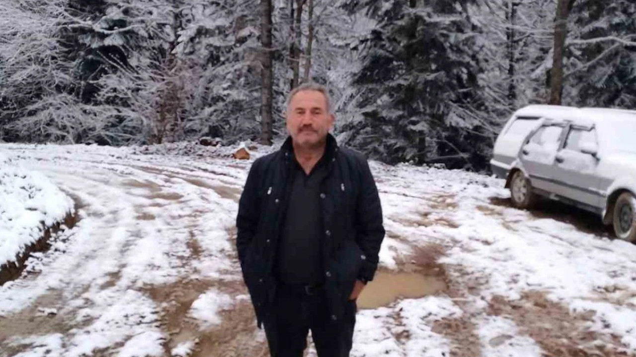 Devrilen ağacın altında kalan işçi yaşamını yitirdi