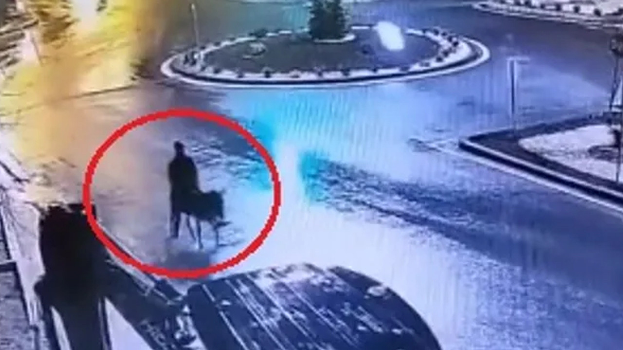 Eşekli hırsızın cezası belli oluyor: Milyonluk zarar kapıda