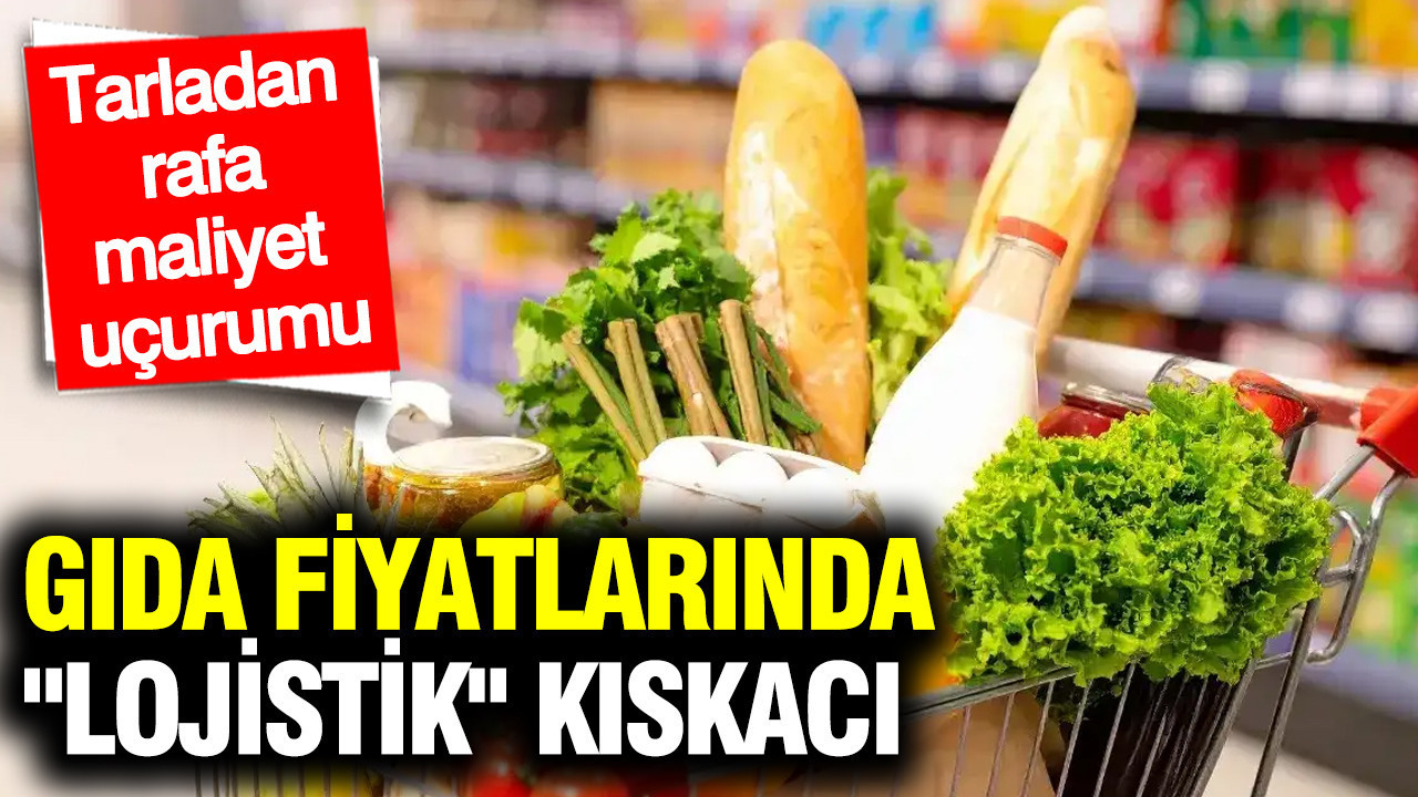 Gıda fiyatlarında "Lojistik" kıskacı: Tarladan raf…