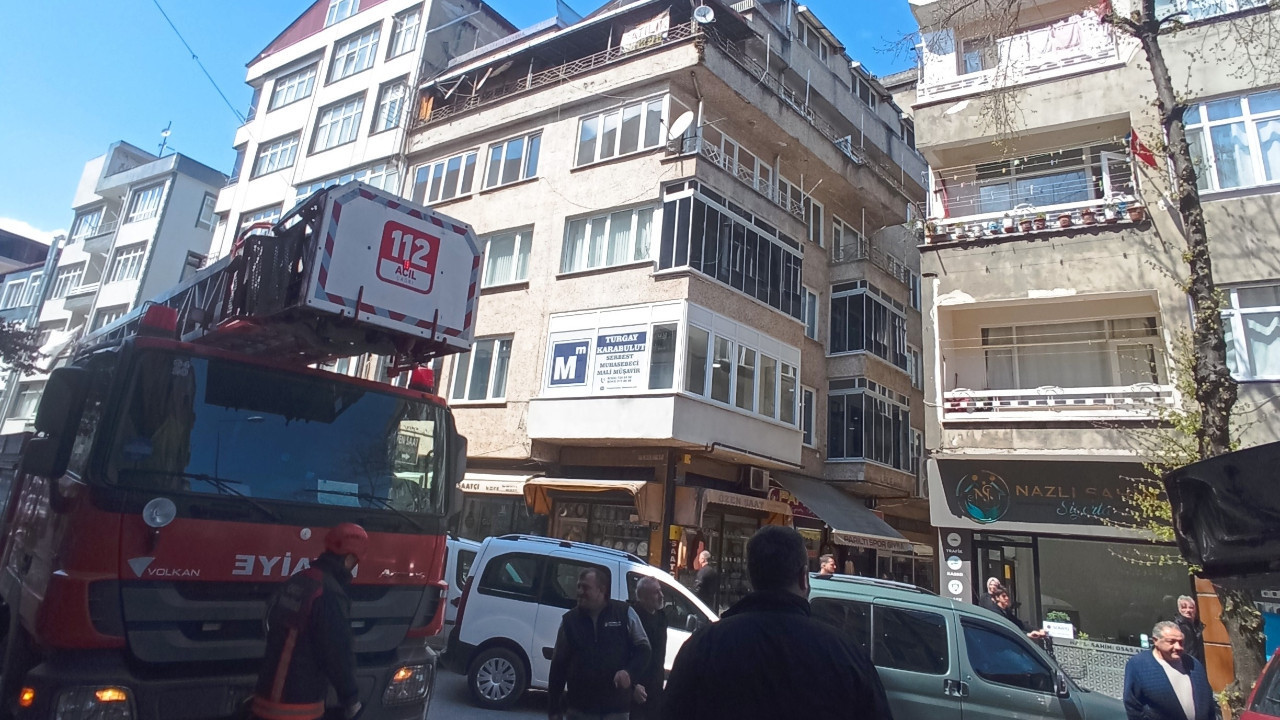 Köpeklerden kaçmak isterken ağaçta mahsur kaldı: Kedinin imdadına itfaiye yetişti