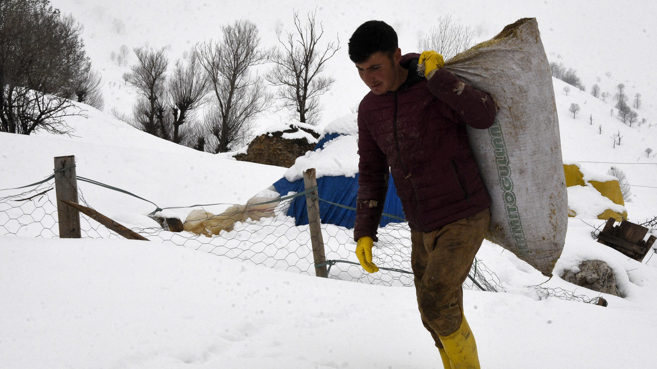 Meralar kar altında, stoklar tükenmek üzere: Besicinin zor imtihanı