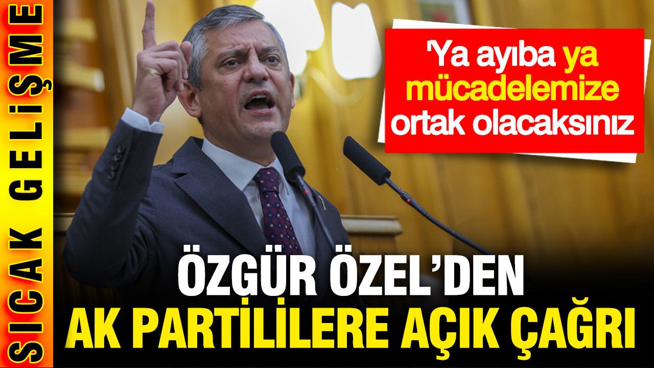 Özel'den AK Partililere açık çağrı: Demokrasi mücadelemize destek verin