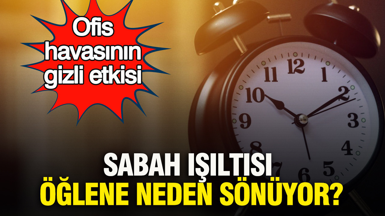 Sabah ışıltısı öğlene neden sönüyor? Ofis havasının gizli etkisi