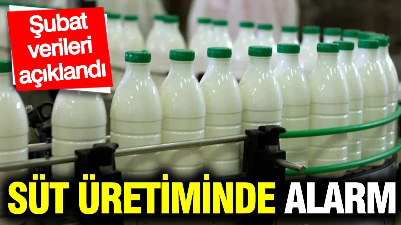 Süt üretiminde hammadde ve işlenmiş ürün makası açılıyor