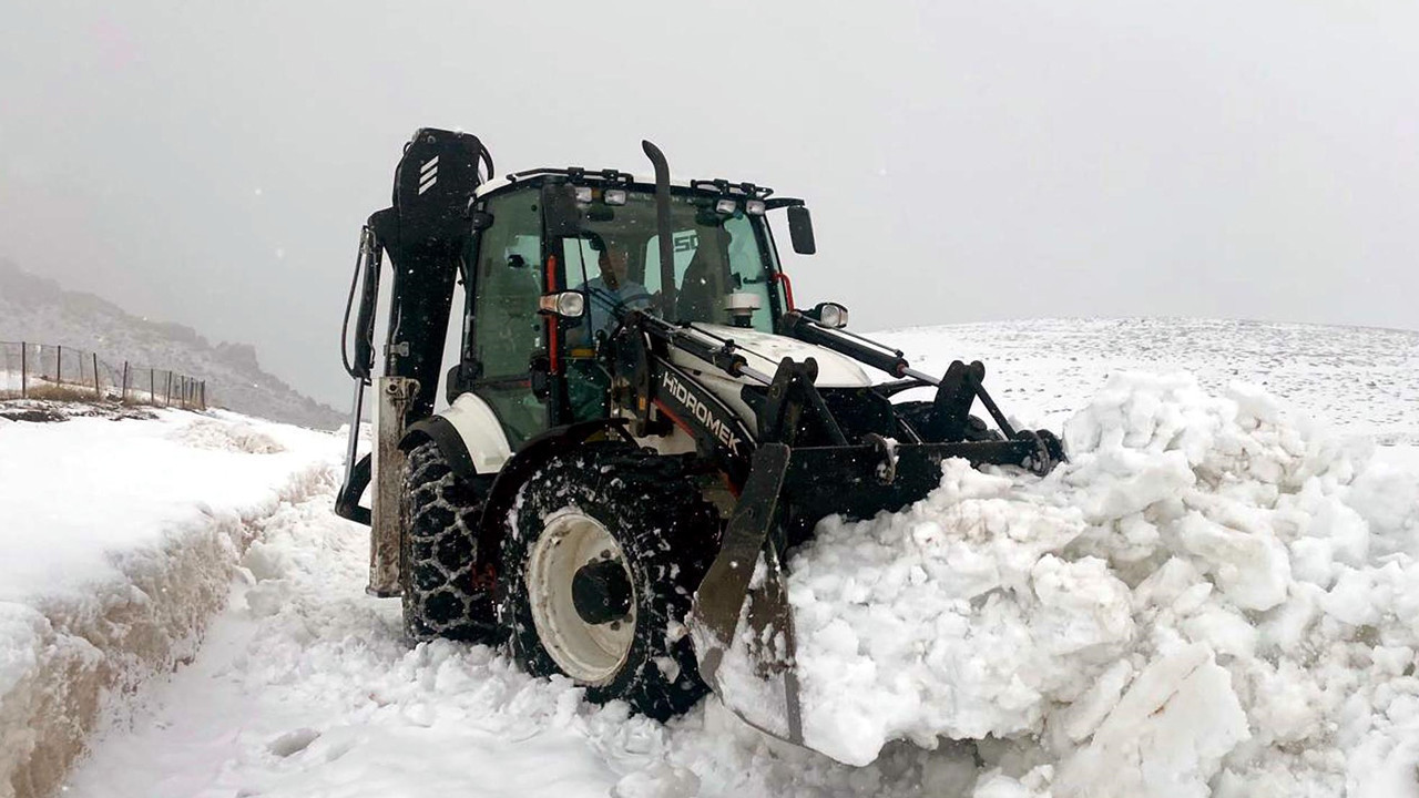 Yollar kardan kapandı: Kayısılar çiçek açtı: Iğdır’da iki mevsim bir arada