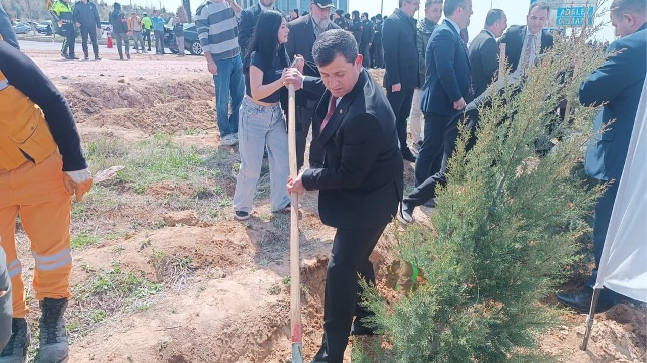 Baro Başkanı Düzgün’den fidan dikim töreni mesajı