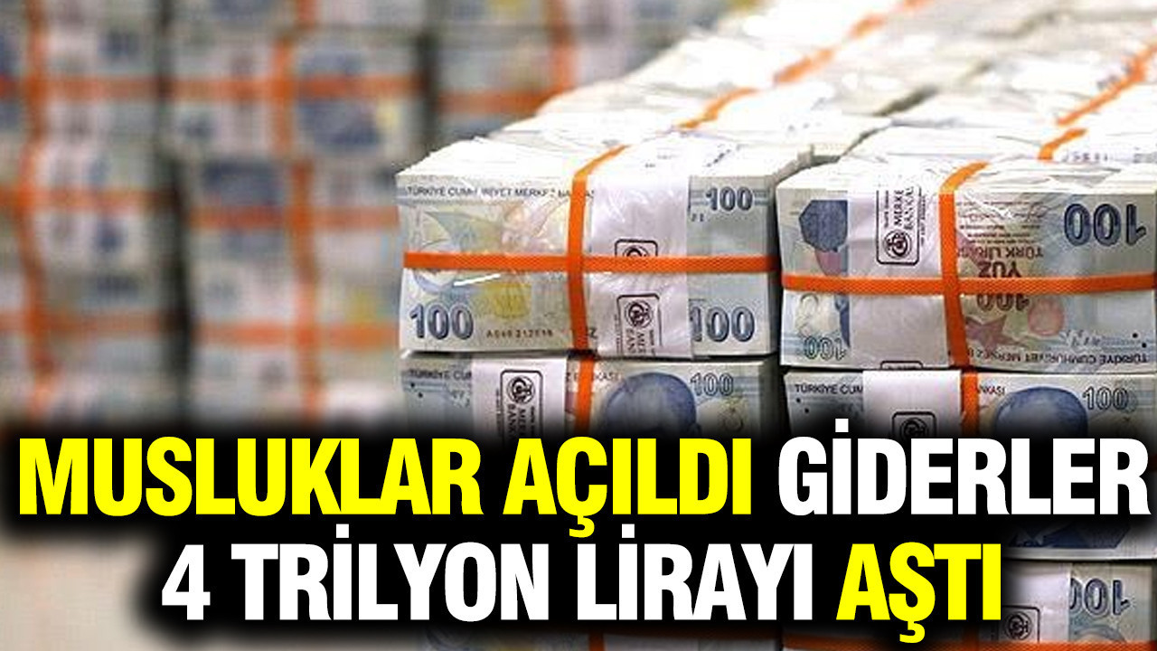 Bütçede rekor harcama: Vatandaş ödedi, bütçe geliri katlandı