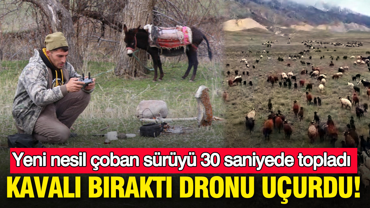 Kavalı bıraktı dronu uçurdu: Yeni nesil çoban sürüyü 30 saniye topladı