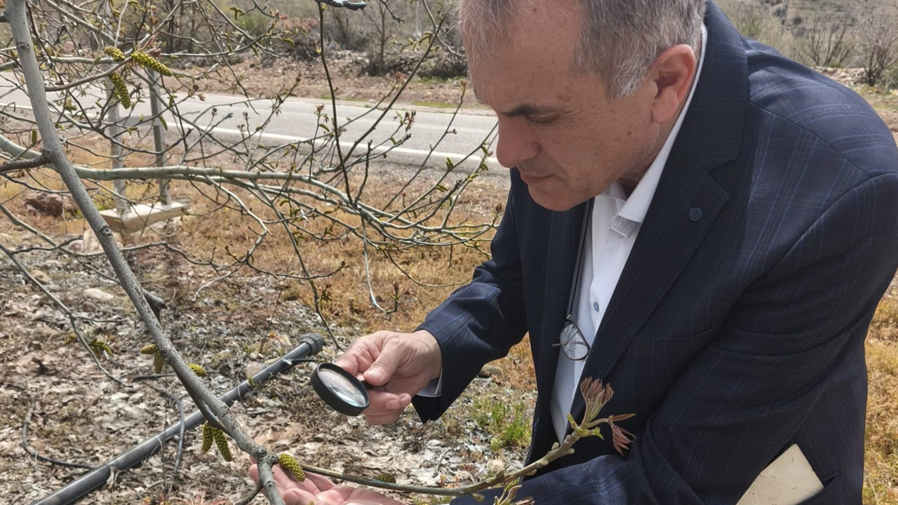 Konya İl Tarım Müdürlüğü ekibi Aladağ Vadisi’nde sahada inceleme yaptı