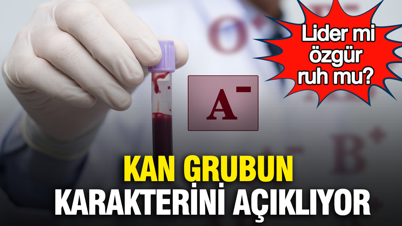 Lider mi, özgür ruh mu? Kan grubun karakterini açıklıyor