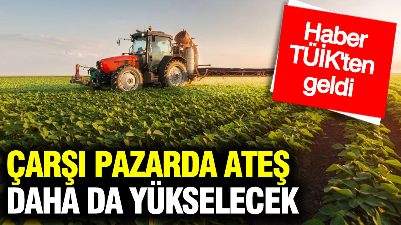 Tarım üretici fiyatlarında dev artış