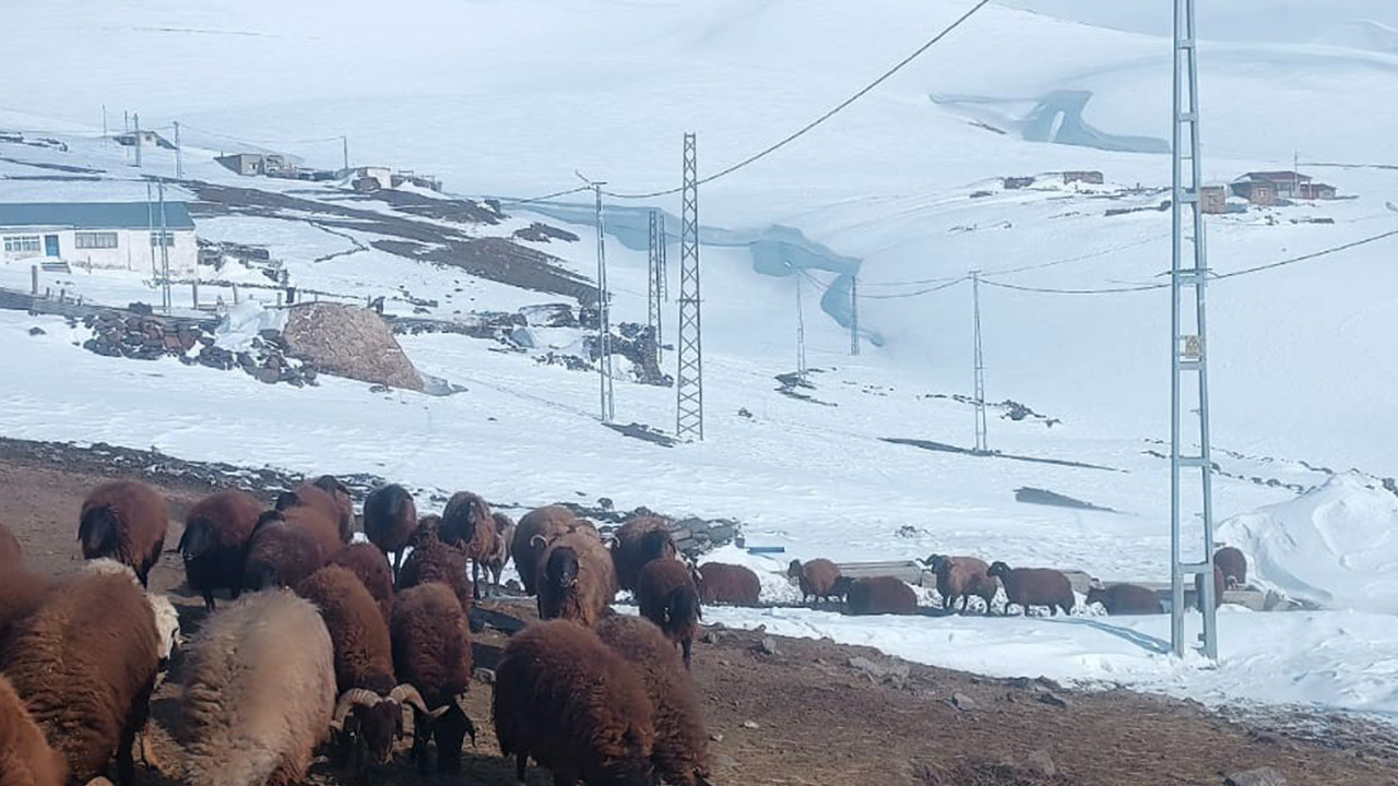 Ağrı'nın karla kaplı dağları dronla görüntülendi