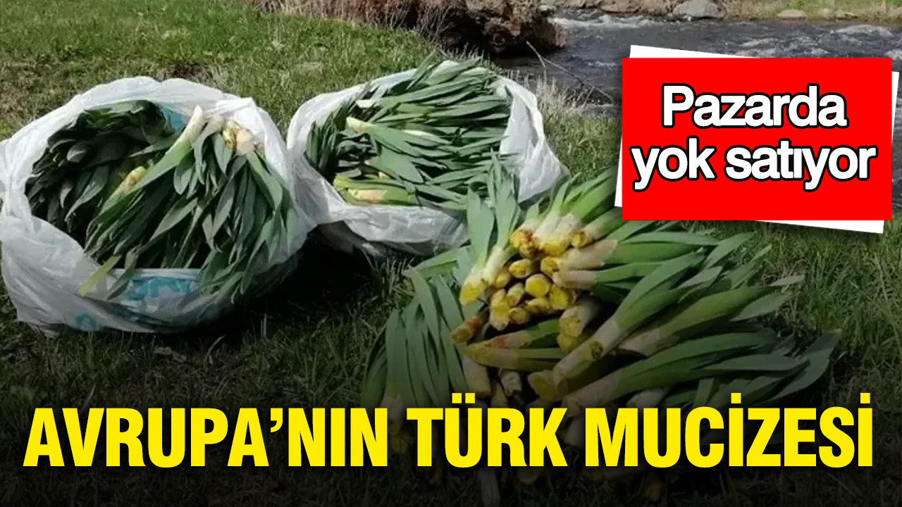 Avrupa’nın Türk mucizesi: Yüzyıllardır biliniyor, şimdi yeniden keşfediliyor... Pazarda yok satıyor