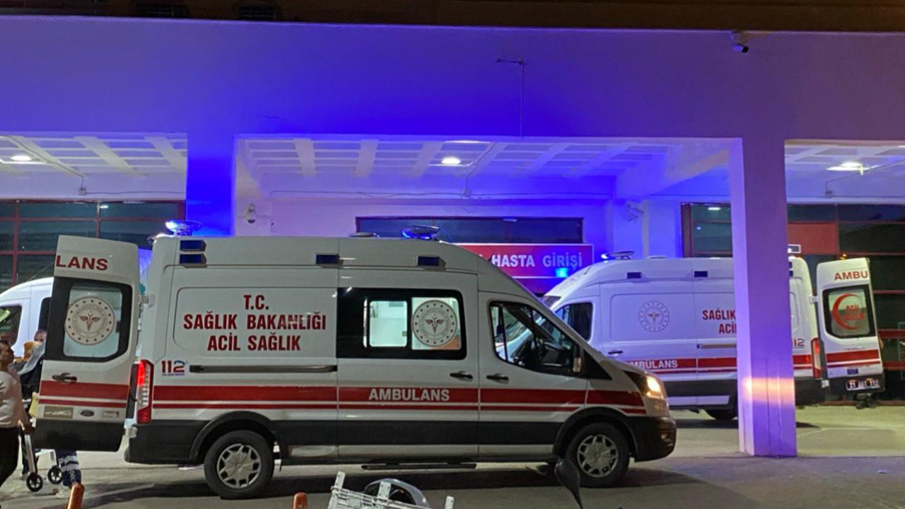 Dut toplarken ağaçtan düştü ve ağır yaralandı