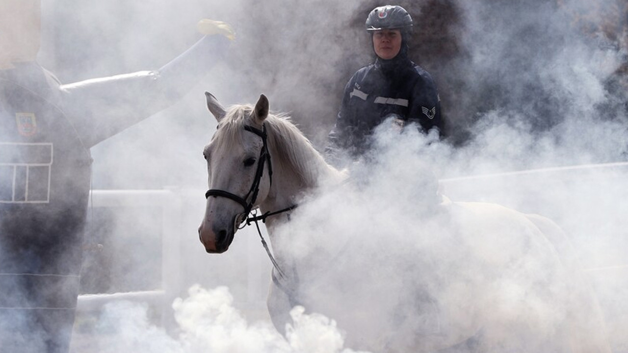 Sessiz kahramanlar: Jandarmanın en güçlü dört ayaklı destekçileri