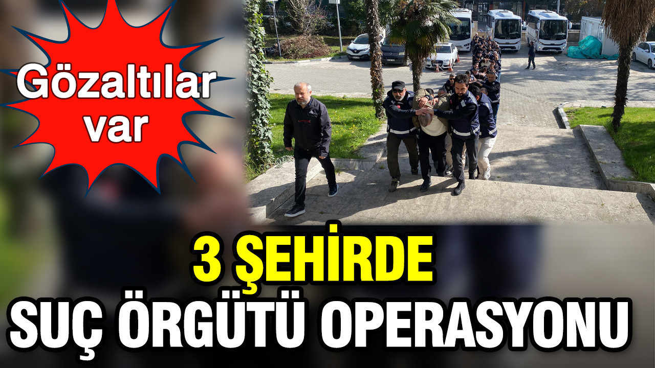 3 şehirde suç örgütü operasyonu: 25 gözaltı