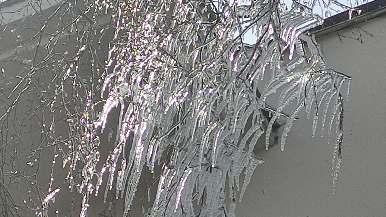 Ardahan'da hava sıcaklığı eksi 10’a düştü, ağaç dalları dondu