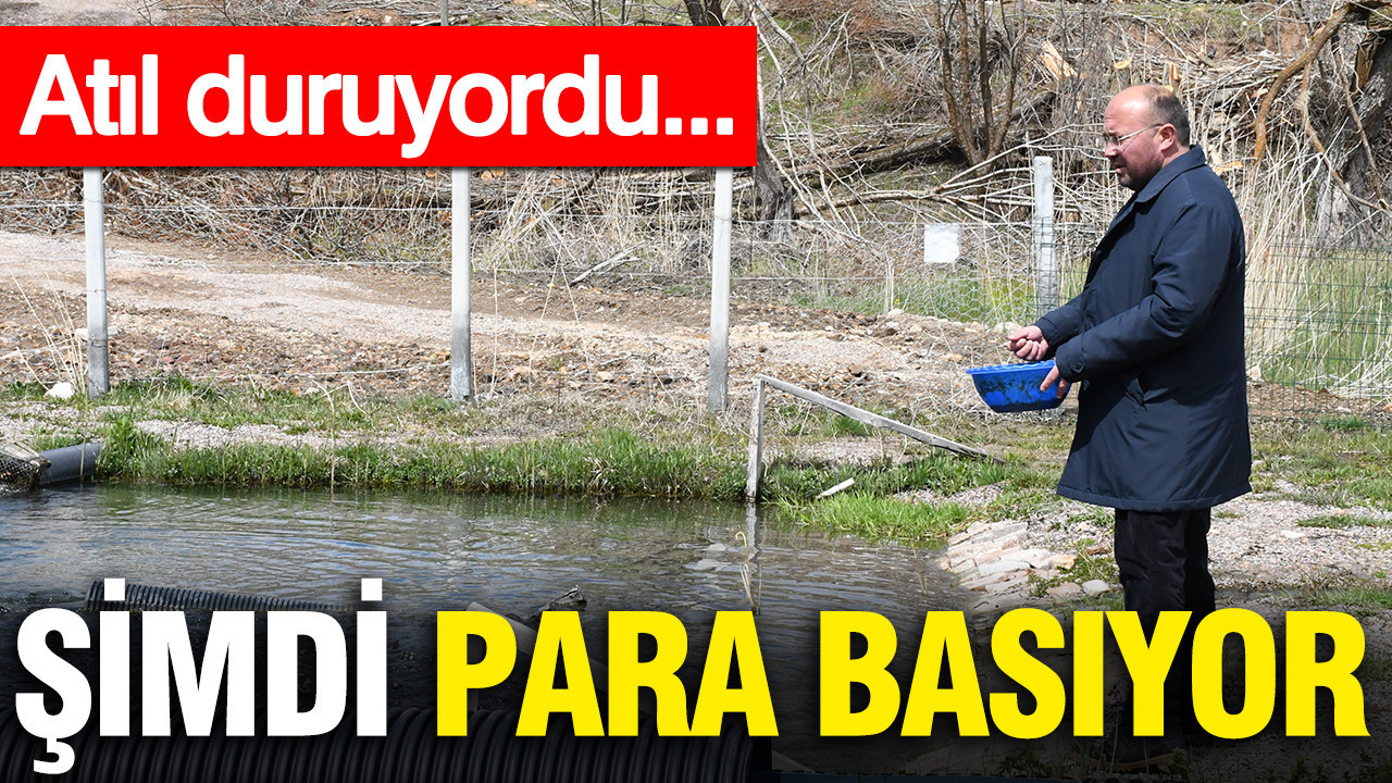 Atıl duran kaynak suyu şimdi para basıyor!