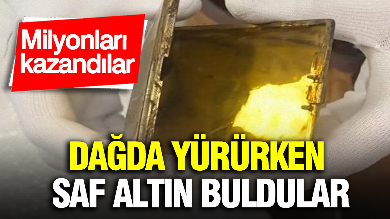 Dağda yürürken saf altın buldular: Milyonları kazandılar
