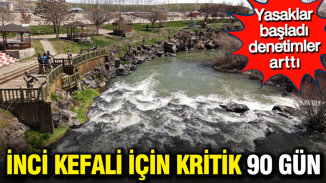 Göç mucizesi başlıyor: İnci kefali için kritik 90 gün