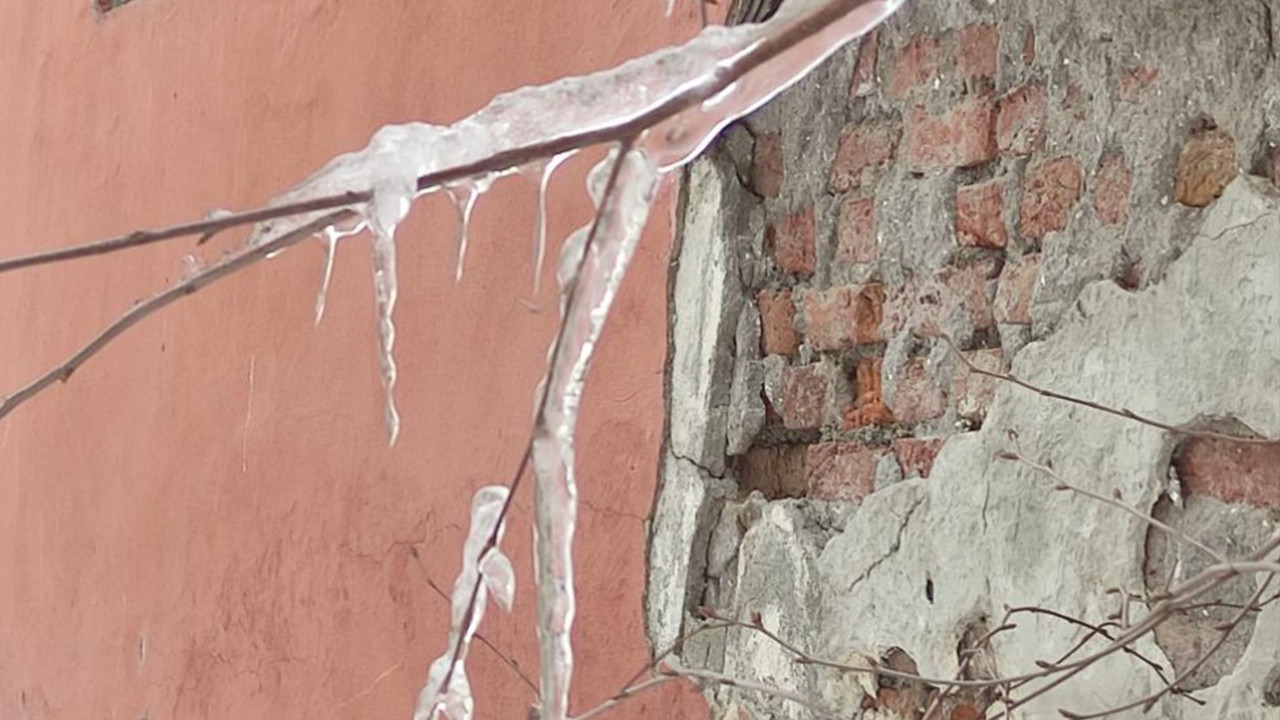 Hava sıcaklığı eksi 10'a düştü, ağaç dalları dondu