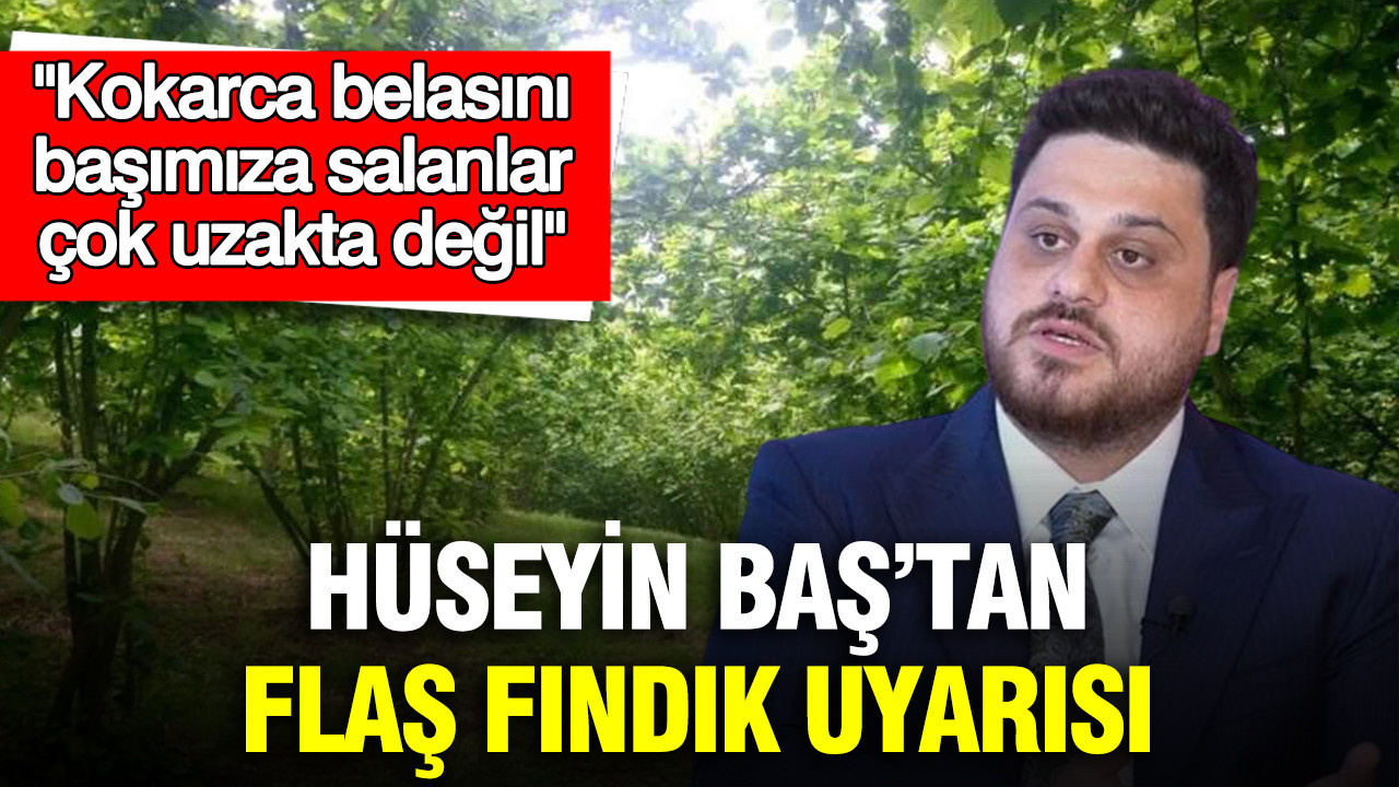 Hüseyin Baş’tan fındık uyarısı: Kokarca belasını başımıza salanlar çok uzakta değil