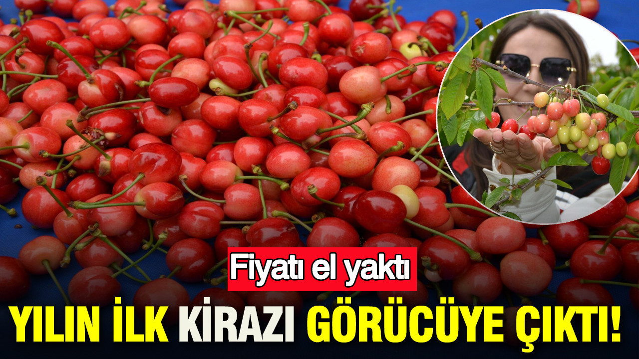 Kırmızı altın Manisa’da çıktı: Fiyatı el yaktı