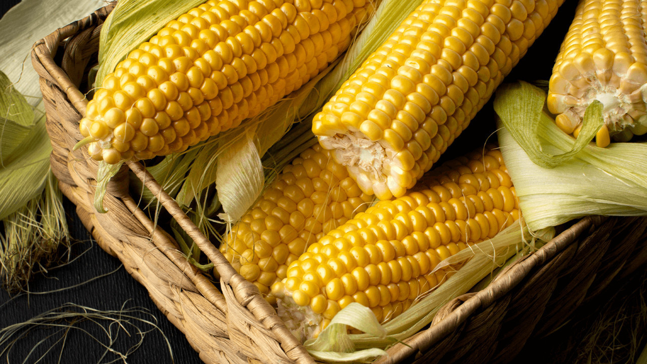 Ticaret Bakanlığı’ndan mısır kararı: 3 milyon tonluk kontenjan açıldı