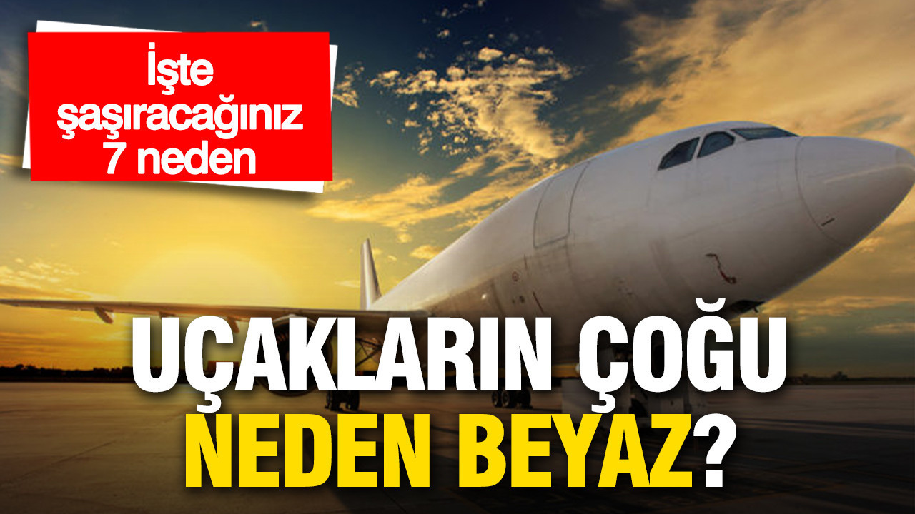 Uçakların neden çoğu beyaz? İşte gökyüzündeki rengin 7 şaşırtıcı nedeni