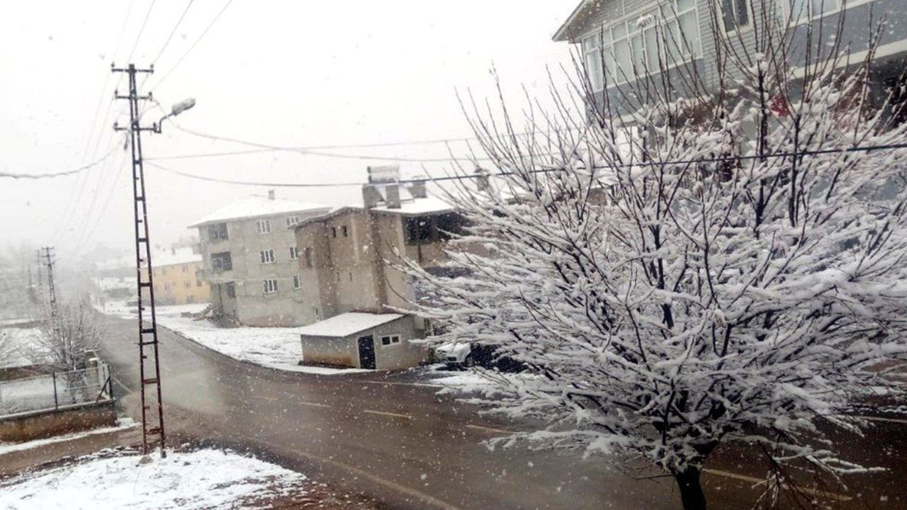 Adana’da bir yanda kar, bir yanda bahar