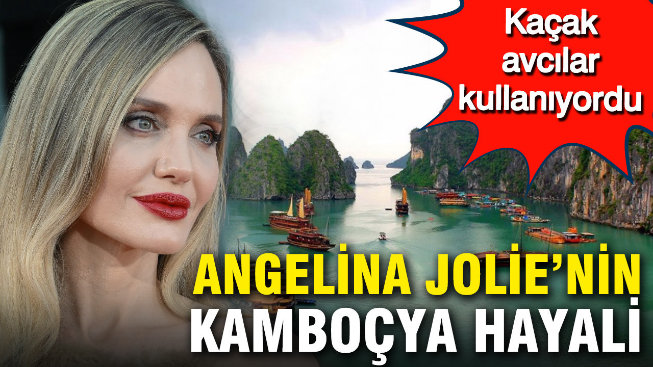 Angelina Jolie’nin Kamboçya’daki büyük projesi: 60 bin hektarlık mucize