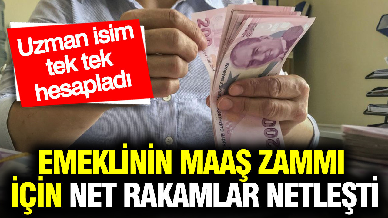 Emekli ve memur temmuz maaş zammı için net rakam verdi: Uzman isimden ‘eşitleme’ formülü