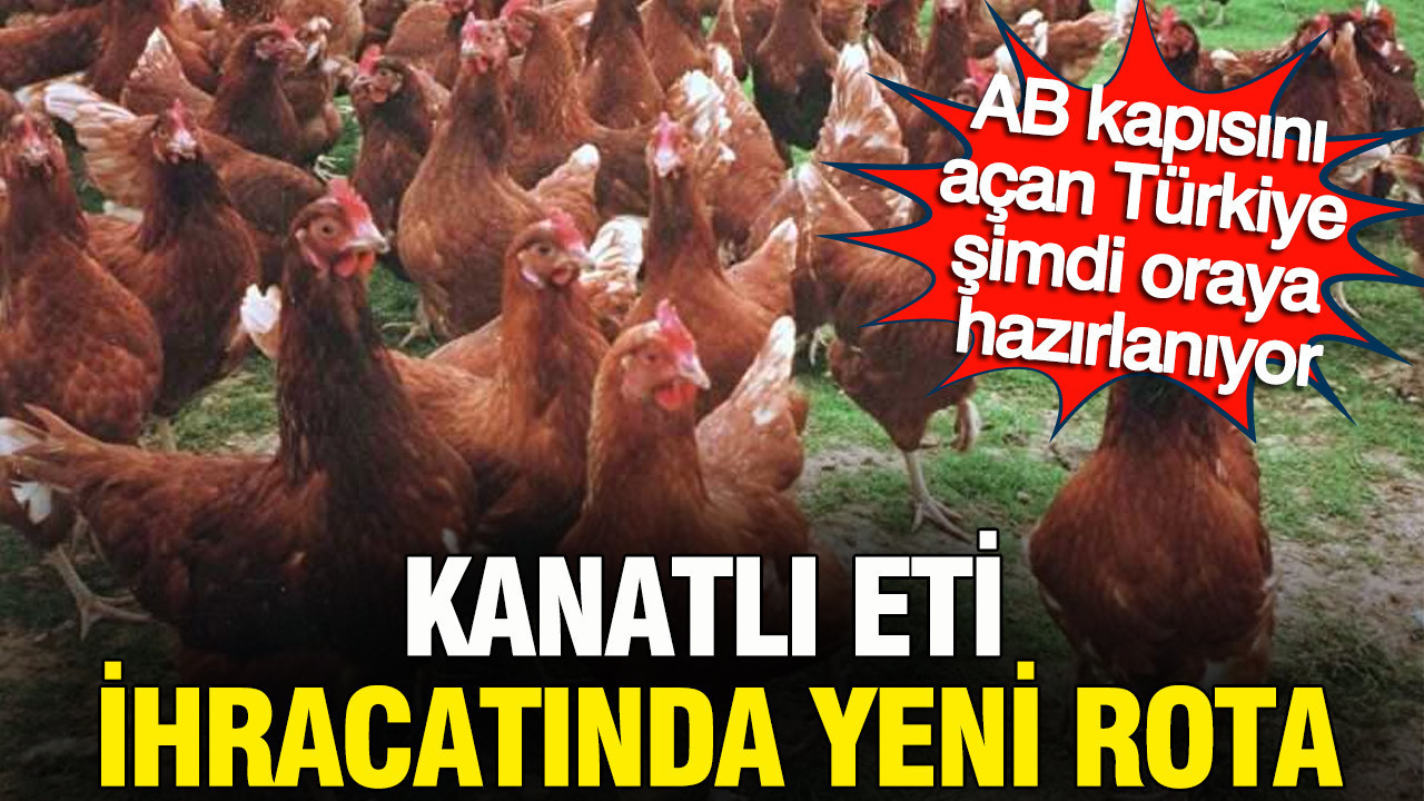 Kanatlı eti ihracatında yeni rota: AB kapısını açan Türkiye şimdi oraya hazırlanıyor