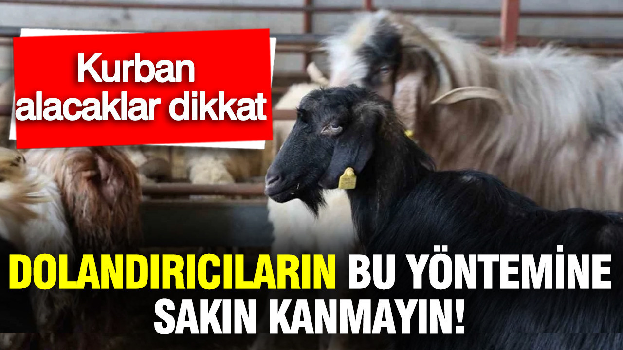 Kurban alacaklar dikkat: Dolandırıcıların bu yöntemine sakın kanmayın