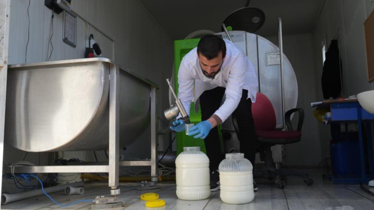 Muş’ta üreticinin yüzü güldü: Çiğ süt alımında "Soğuk zincir" bereketi