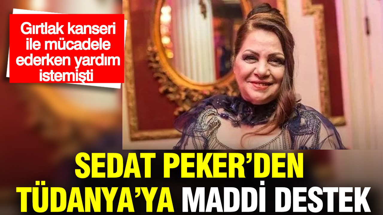 Sedat Peker'den Tüdanya'ya destek