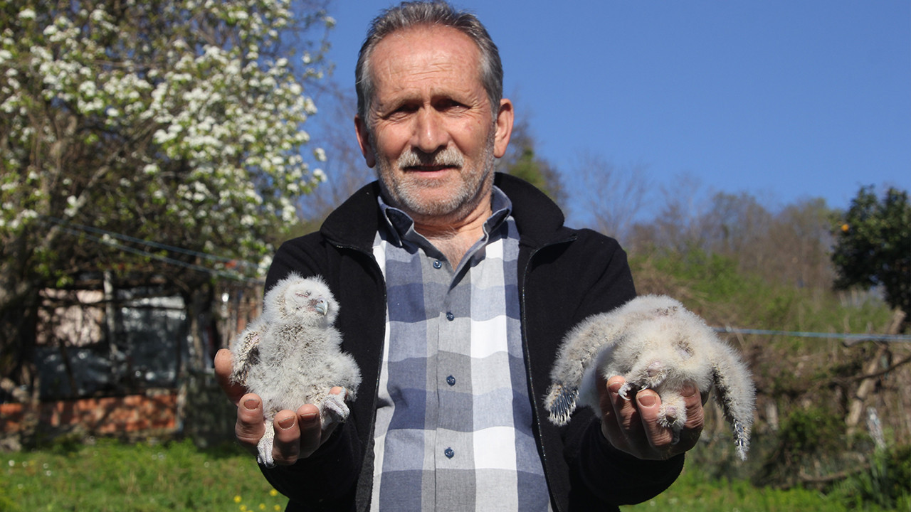 20 yıldır kapısını tek bir misafir için açıyor: "Uğursuz" diyenlere inat o isimleri koydu